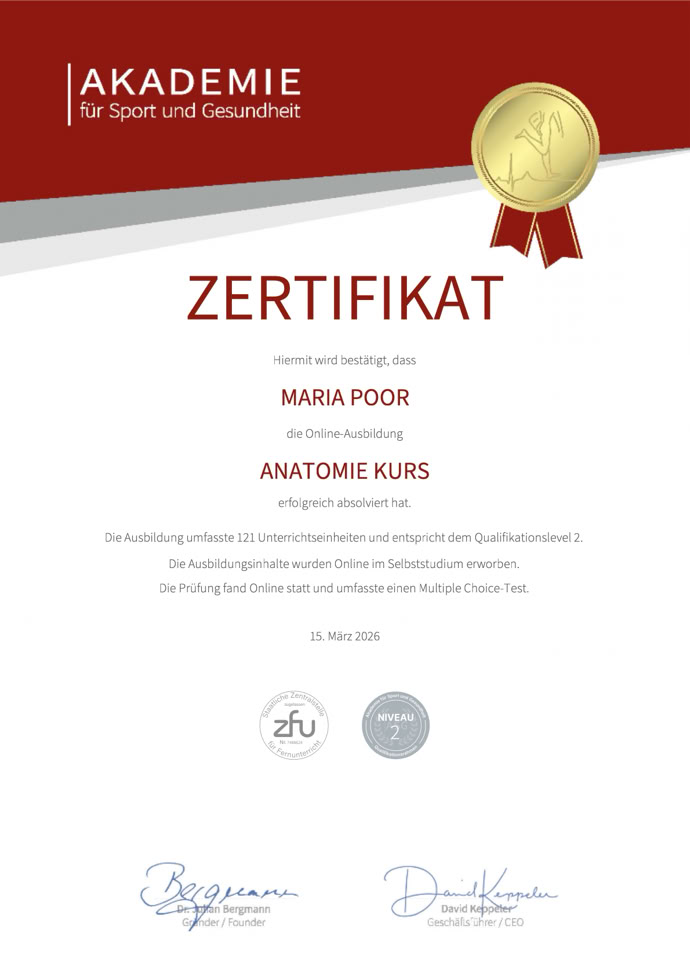 Zertifikat Anatomiekurs online, Niveau 2